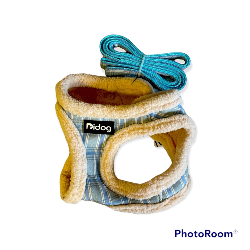 Open small leash for small pets